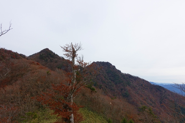 DSC02523.jpg