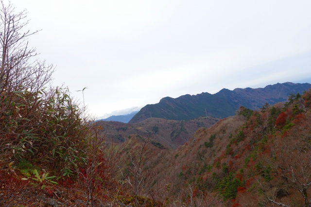 DSC02527.jpg