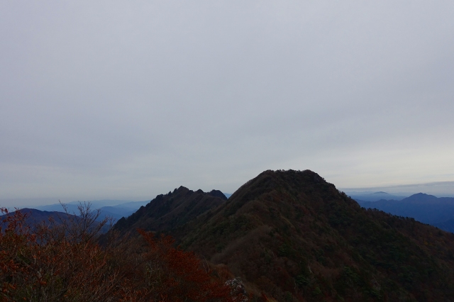DSC02535.jpg