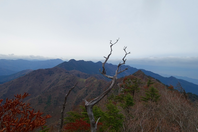 DSC02549.jpg