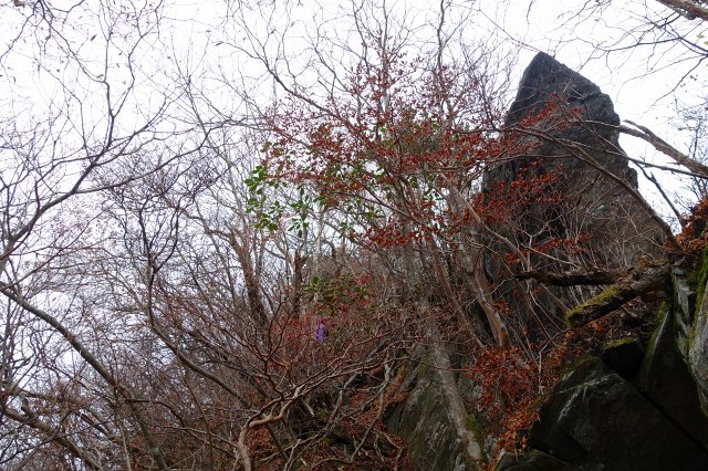 DSC02550.jpg
