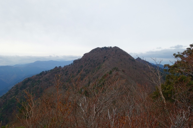 DSC02552.jpg
