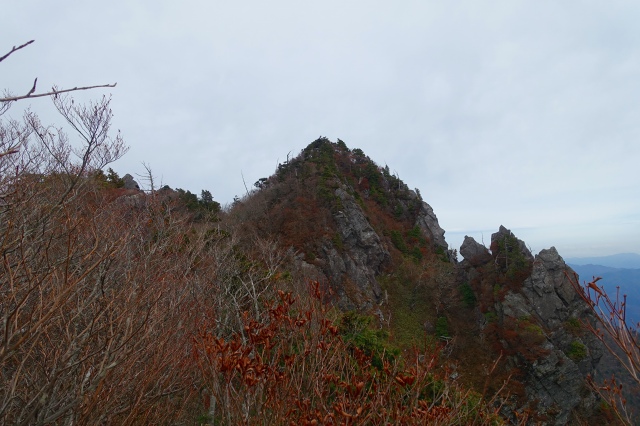 DSC02554.jpg