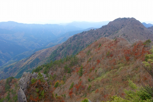 DSC02559.jpg