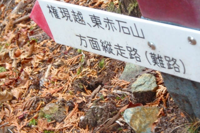 PB011422.jpg