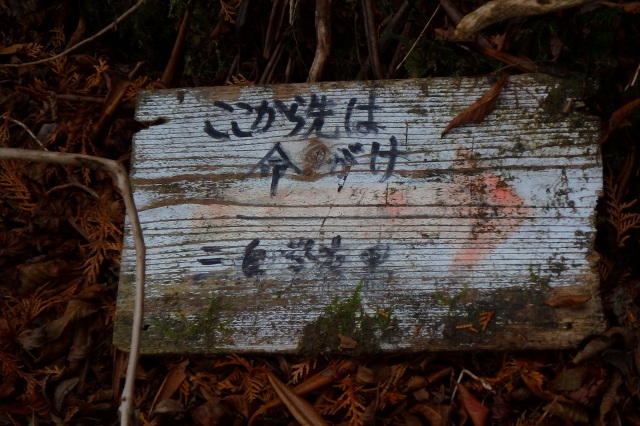 PB011423.jpg