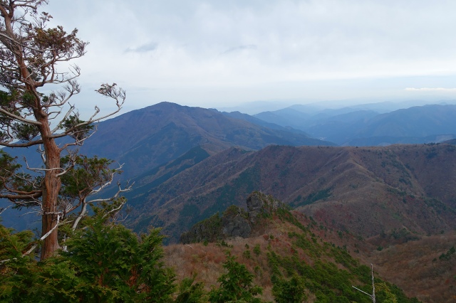 DSC02571.jpg