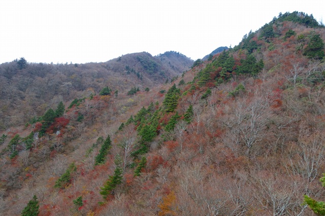 DSC02575.jpg