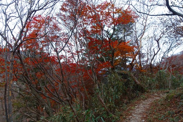 DSC02583.jpg