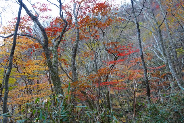DSC02589.jpg