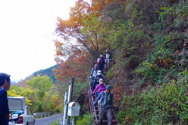 DSC02594.jpg
