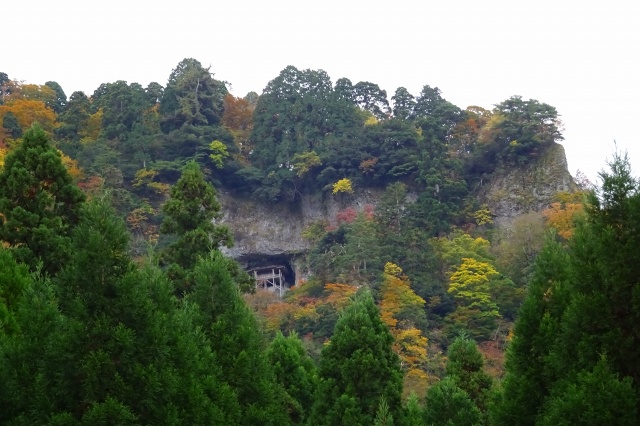 DSC01094.jpg
