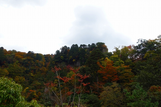 DSC02635.jpg