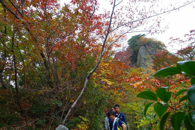 DSC02639.jpg