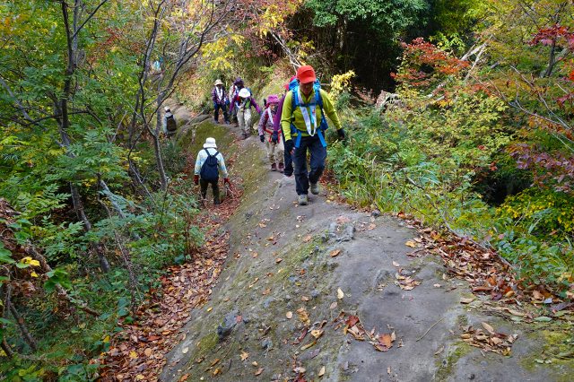 DSC02645.jpg