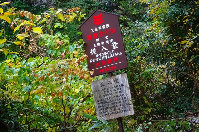 DSC01171.jpg