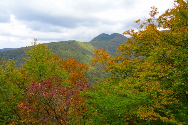 DSC01176.jpg