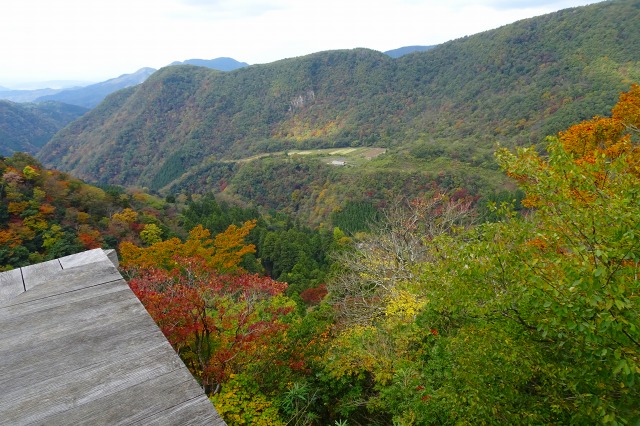 DSC01177.jpg