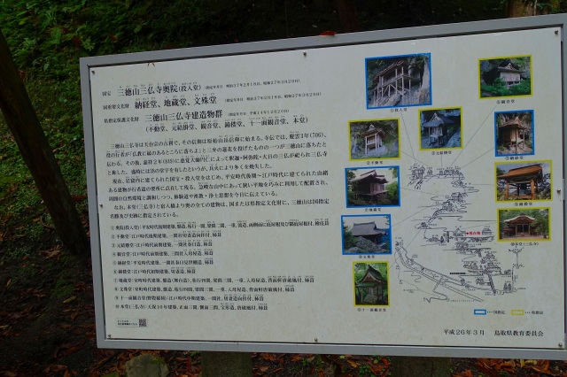 DSC02677.jpg