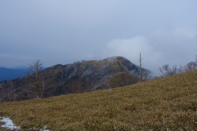 DSC03416.jpg
