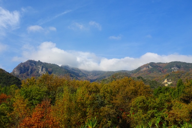 DSC01894.jpg