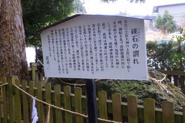 P1170245.jpg