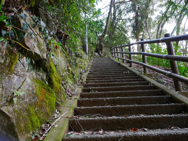 P1000359.jpg