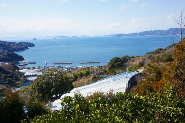 DSC00103.jpg