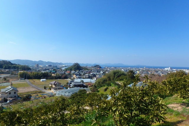 P3021735.jpg