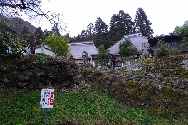 DSC03074.jpg