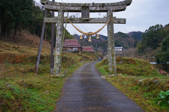 DSC00230.jpg