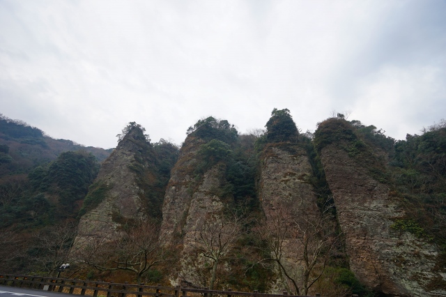 DSC00232.jpg