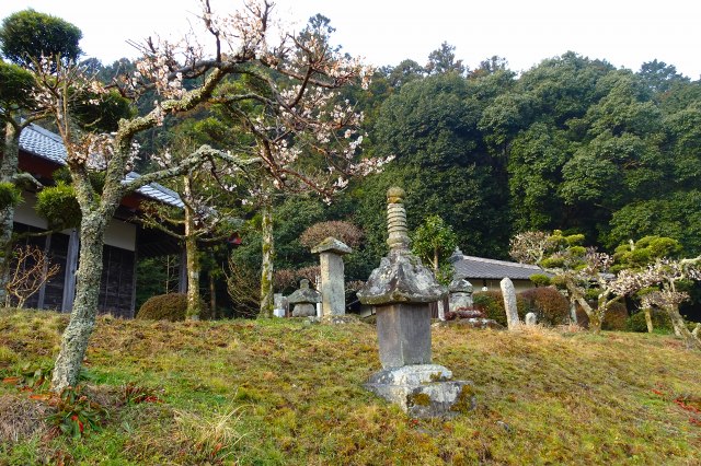 DSC03083.jpg
