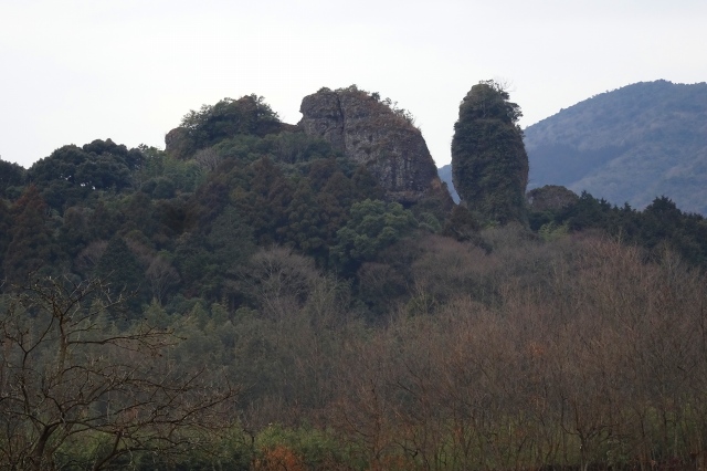 DSC03086.jpg