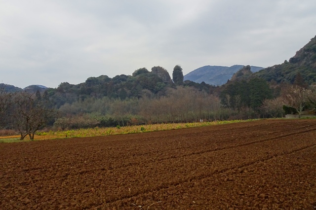 DSC03087.jpg