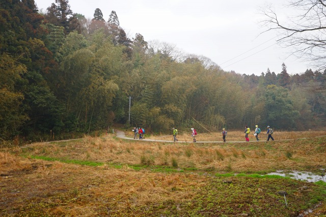 DSC00236.jpg