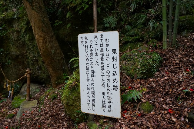 DSC00239.jpg
