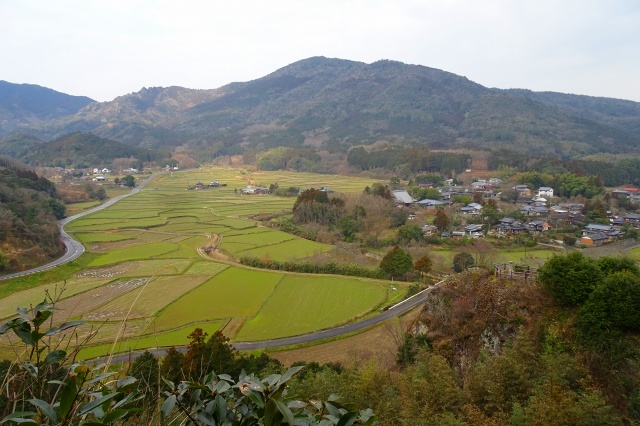 DSC03094.jpg