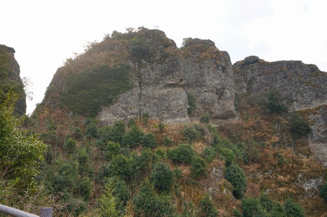 DSC00261.jpg
