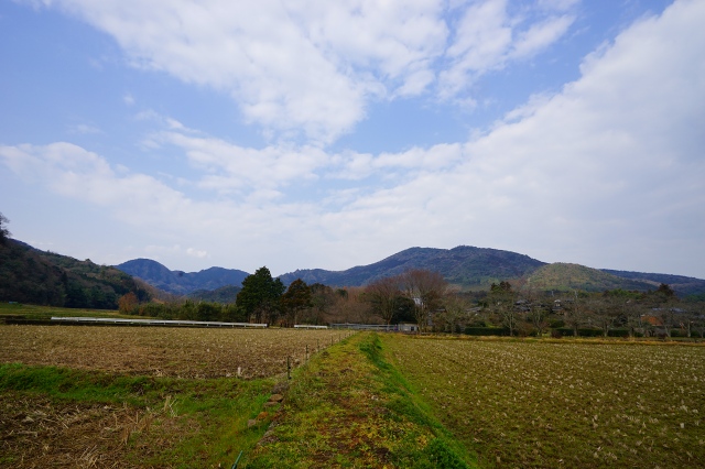 DSC00268.jpg