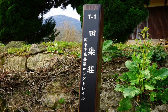 DSC00274.jpg