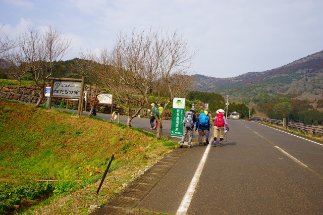 DSC00275.jpg