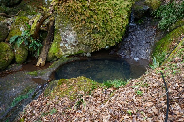 DSC00280.jpg