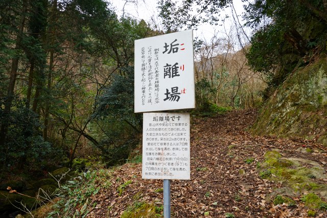 DSC00281.jpg