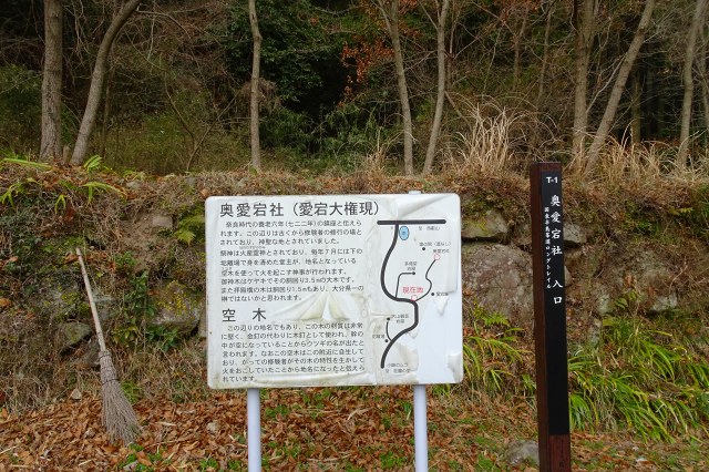 DSC03125.jpg
