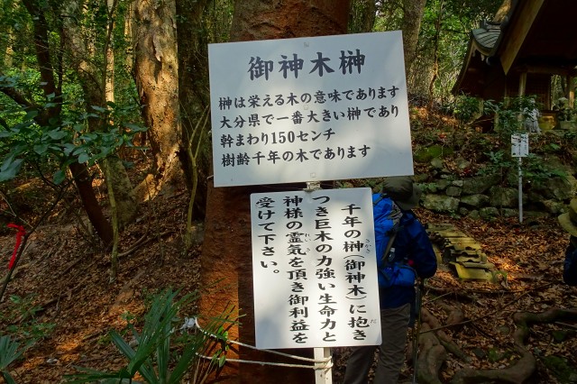 DSC03128.jpg