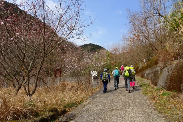 DSC03130.jpg