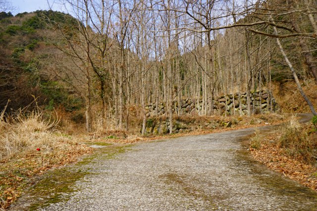 DSC00293.jpg