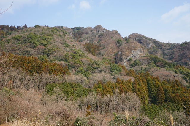 DSC00294.jpg