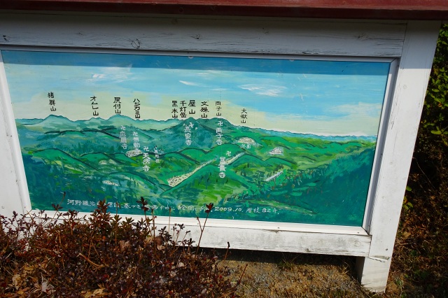 DSC03153.jpg